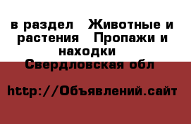  в раздел : Животные и растения » Пропажи и находки . Свердловская обл.